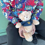 Teddy